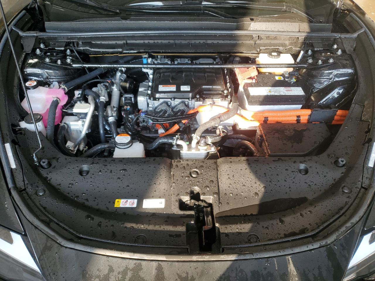 2024 Lexus Rz 450E VIN: JTJAAAAB8RA027684 Lot: 80511675