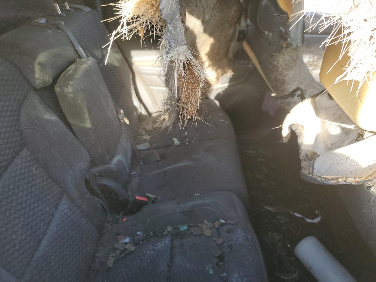 2017 GMC Acadia Sle VIN: 1GKKNRLA4HZ142298 Lot: 81001405