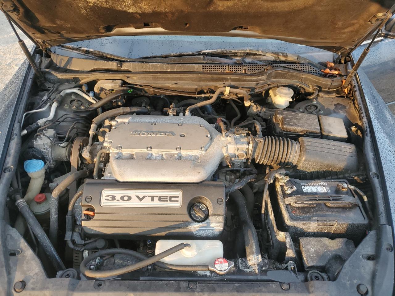 2006 Honda Accord Ex VIN: 1HGCM665X6A047757 Lot: 81017095