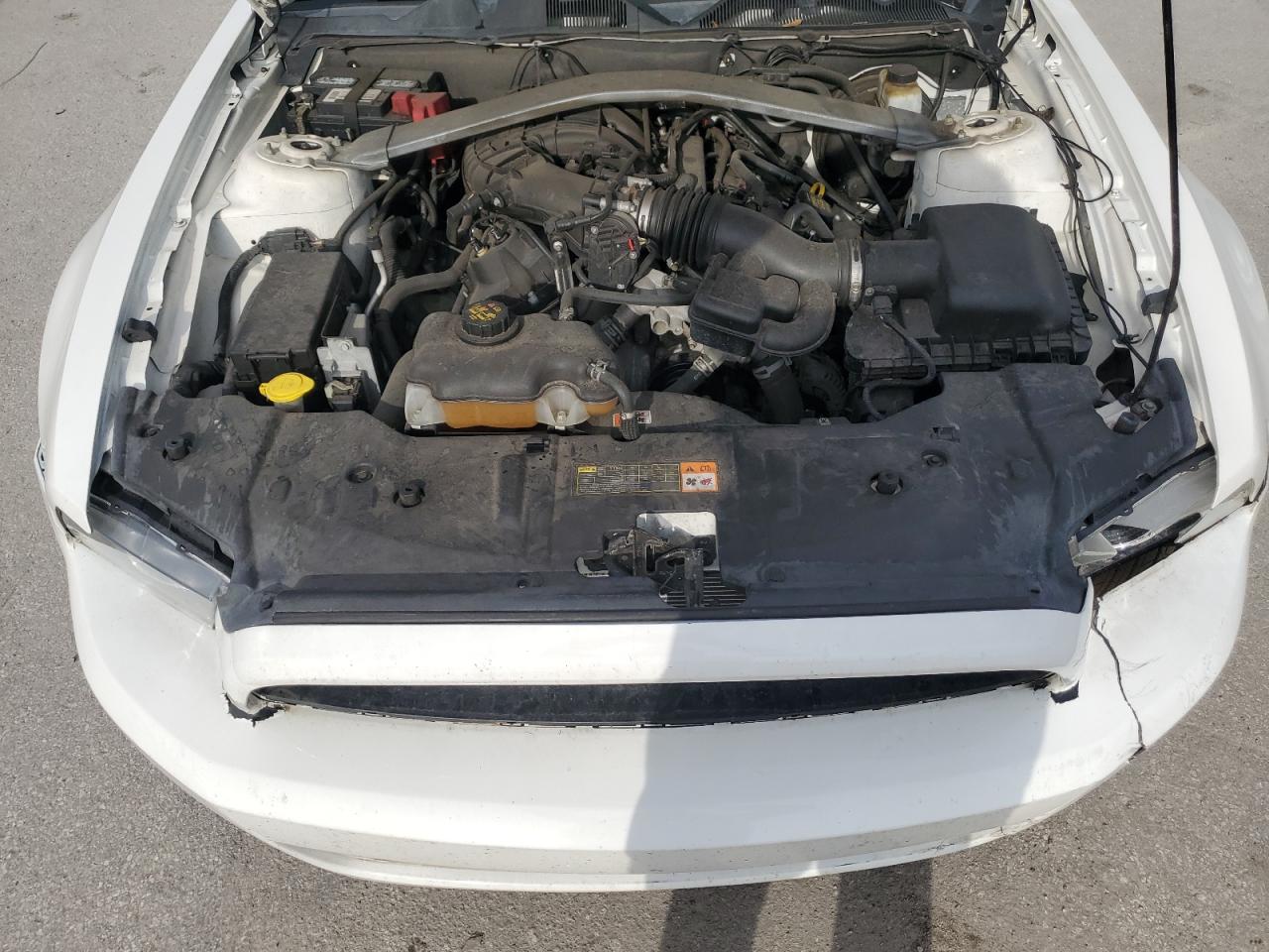 2013 Ford Mustang VIN: 1ZVBP8EM2D5204593 Lot: 80528135