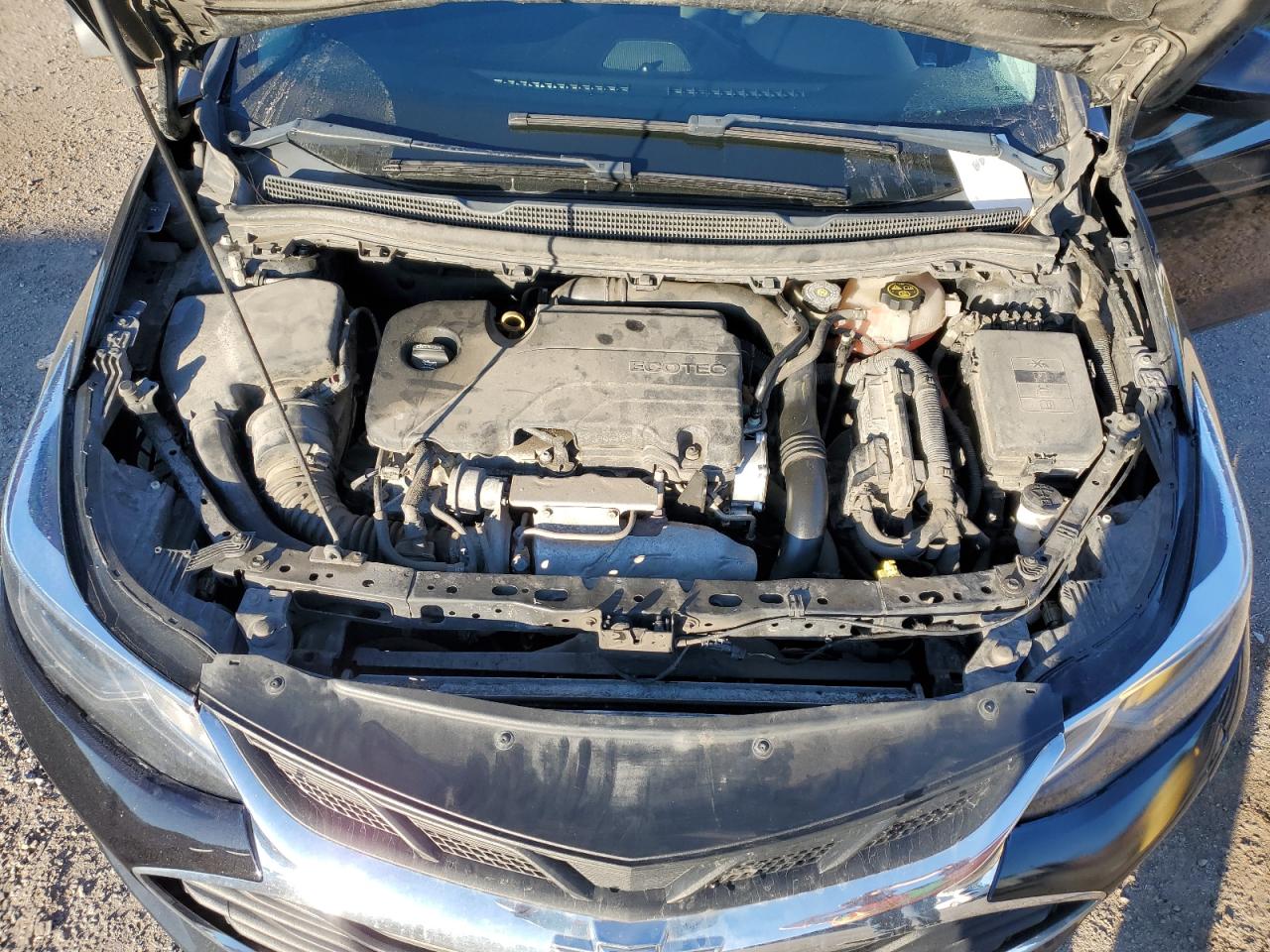 2019 Chevrolet Cruze Lt VIN: 1G1BE5SM6K7124204 Lot: 81390305