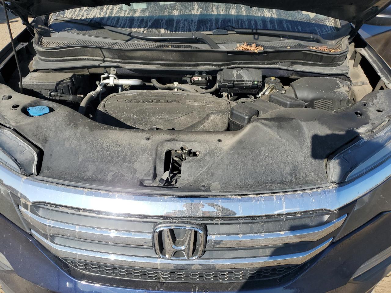 2017 Honda Pilot Exl VIN: 5FNYF6H58HB040408 Lot: 81751345