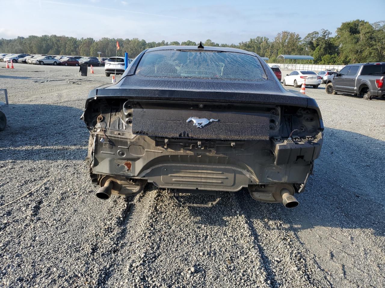 2021 Ford Mustang VIN: 1FA6P8TH2M5100850 Lot: 81483615