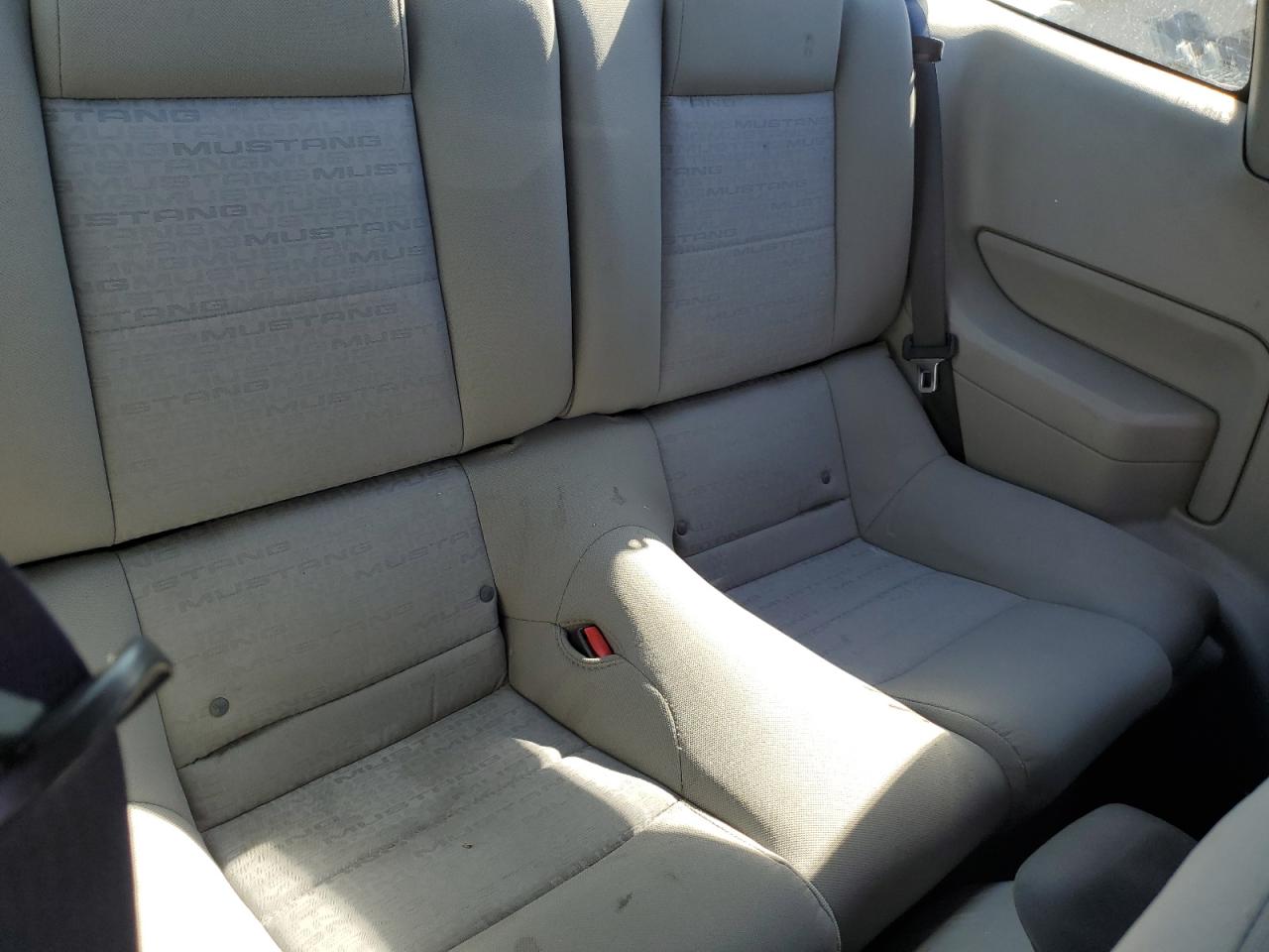 2008 Ford Mustang VIN: 1ZVHT80N585148564 Lot: 71557375