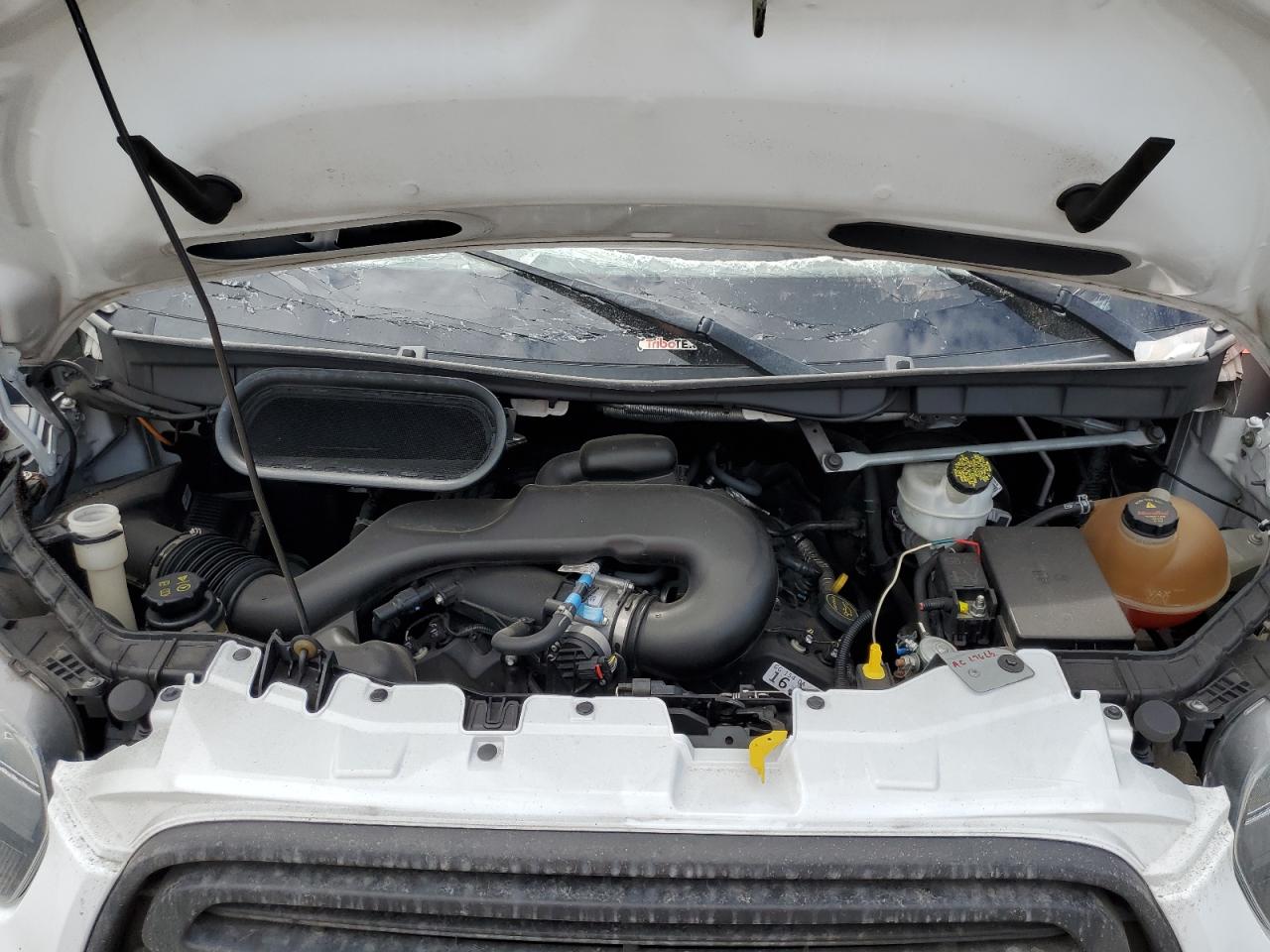 2019 Ford Transit T-250 VIN: 1FTYR3XM9KKA48302 Lot: 81235975