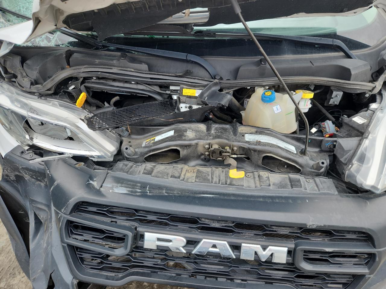 2023 Ram Promaster 2500 2500 High VIN: 3C6LRVDG5PE541349 Lot: 81882145