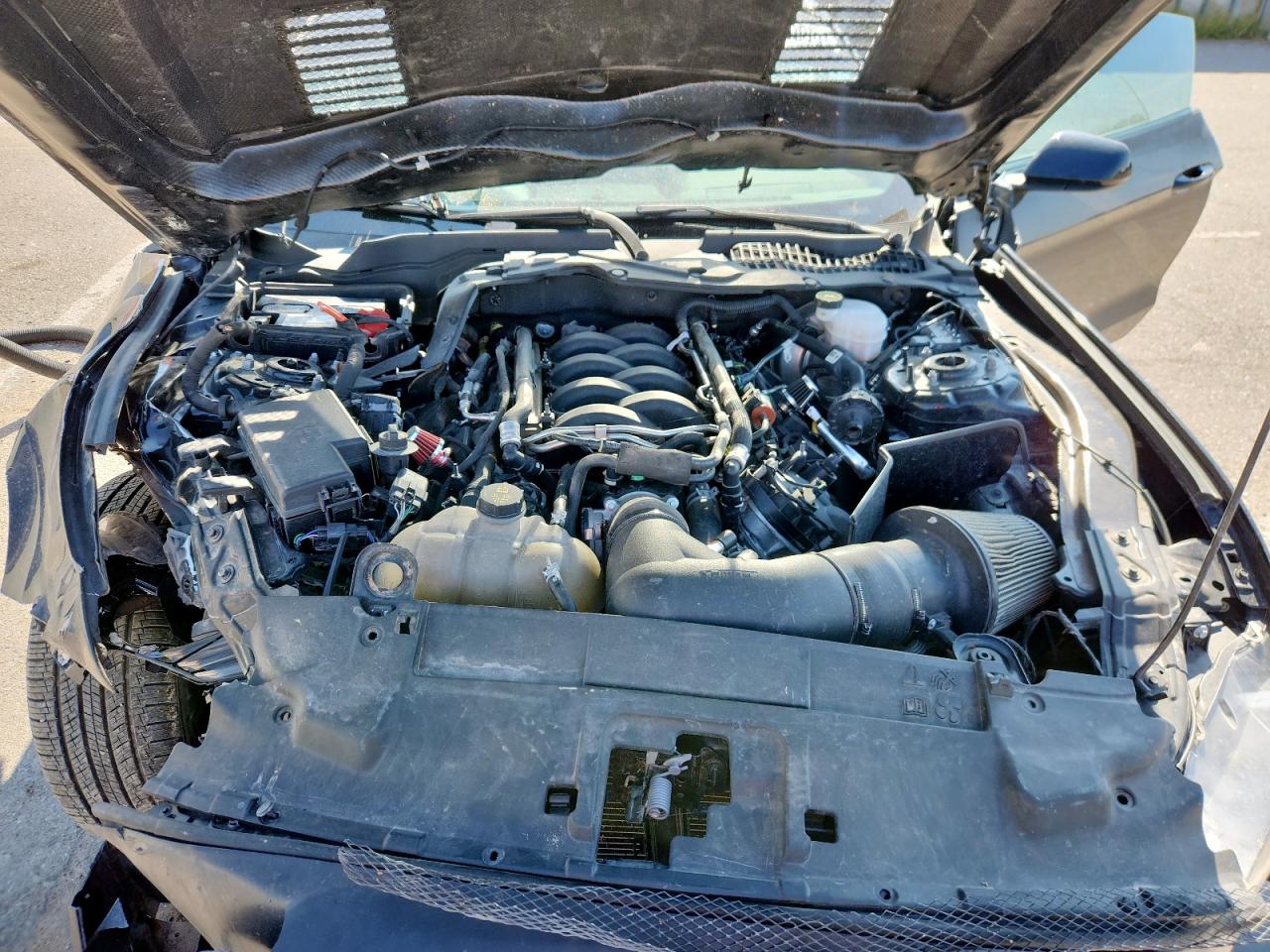 2021 Ford Mustang Gt VIN: 1FA6P8CFXM5155562 Lot: 71040295