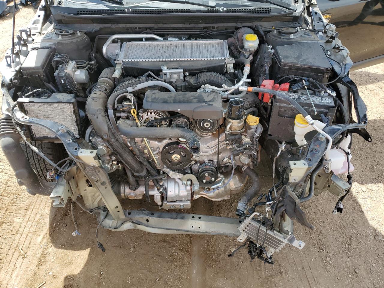 2024 Subaru Outback Wilderness VIN: 4S4BTGUD8R3186299 Lot: 72099455
