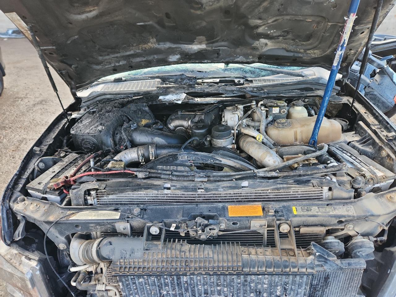 2010 Ford F250 Super Duty VIN: 1FTSW2BR7AEA33175 Lot: 93300085