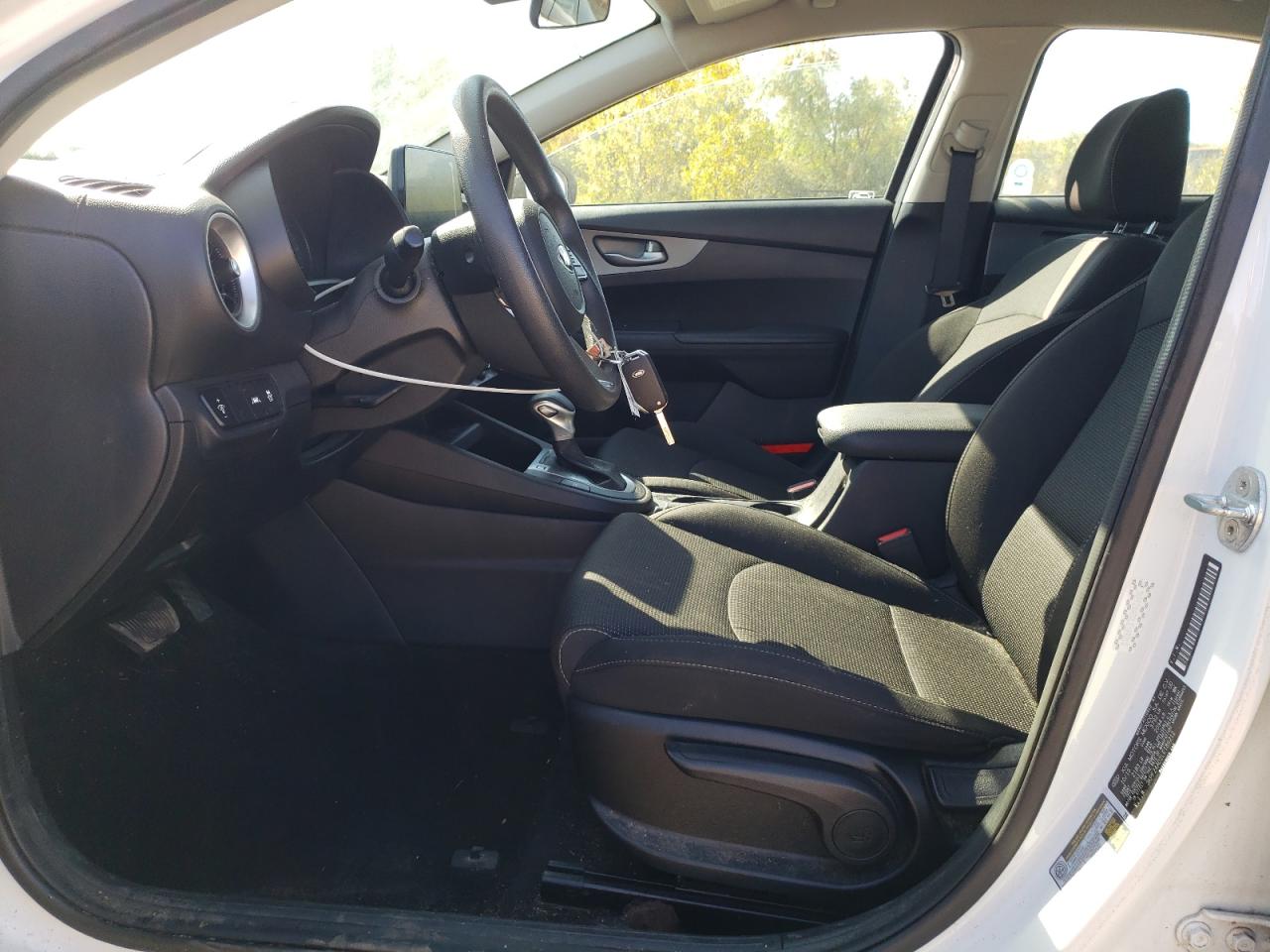 2020 Kia Forte Fe VIN: 3KPF24AD2LE189212 Lot: 81081725