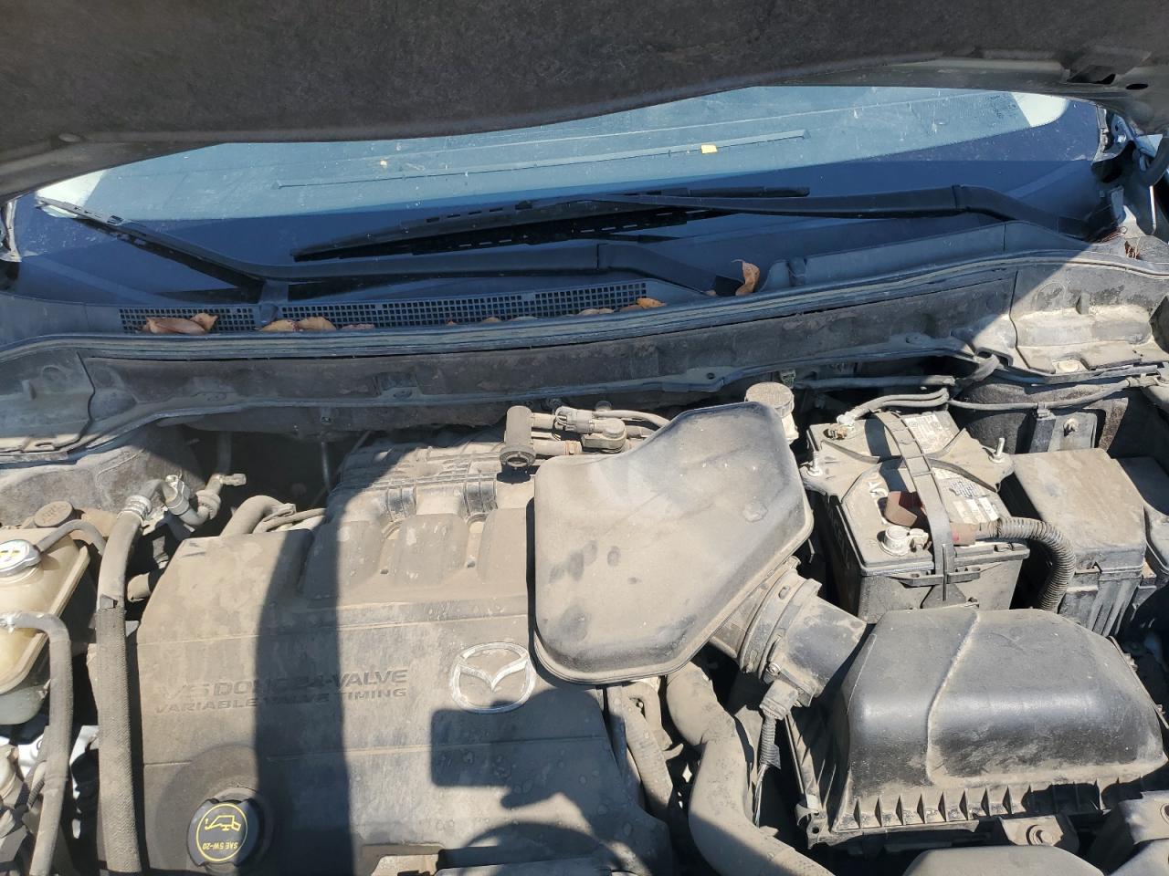 2011 Mazda Cx-9 VIN: JM3TB3BA6B0303423 Lot: 80193355