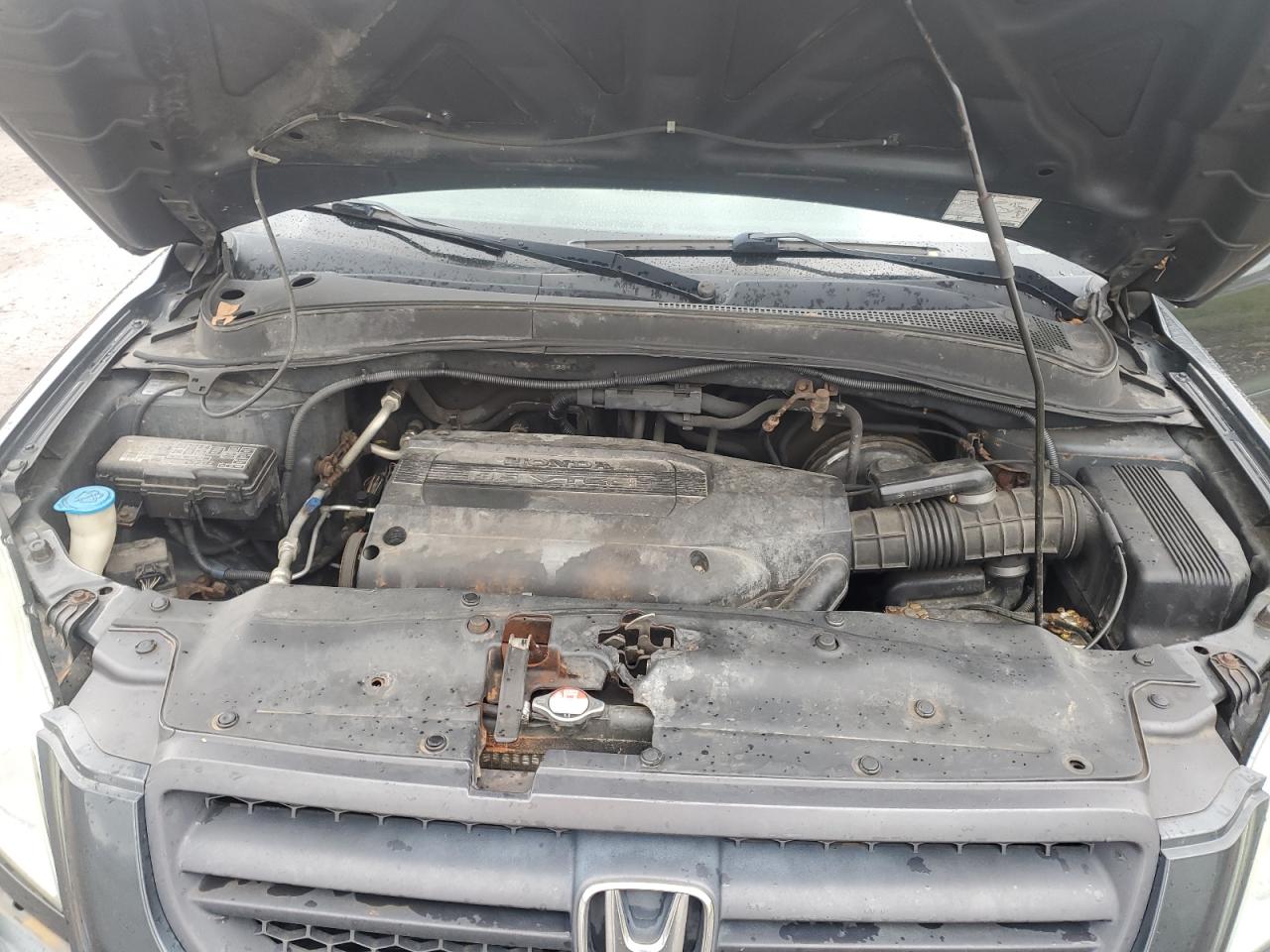 2004 Honda Pilot Exl VIN: 2HKYF18524H552891 Lot: 84002995