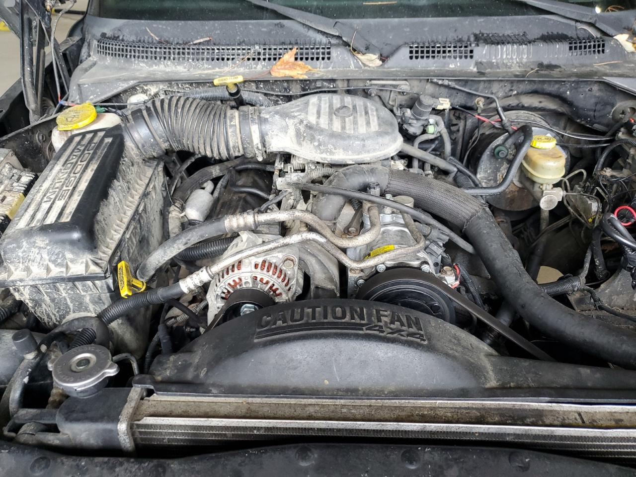 1998 Dodge Durango VIN: 1B4HS28Y8WF189972 Lot: 81495365