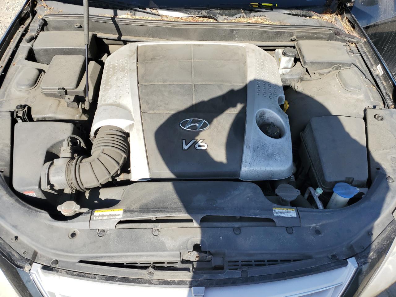 2010 Hyundai Genesis 3.8L VIN: KMHGC4DE8AU080513 Lot: 71369715