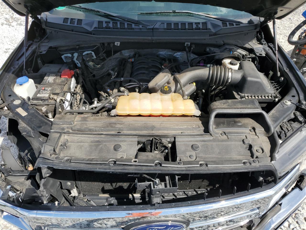 2019 Ford F150 VIN: 1FTMF1E56KFA62559 Lot: 71506495