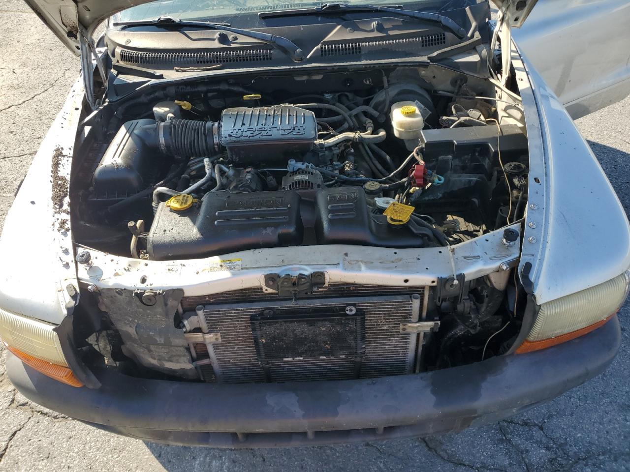 2004 Dodge Dakota Quad Sport VIN: 1D7HG38N34S770063 Lot: 71457315