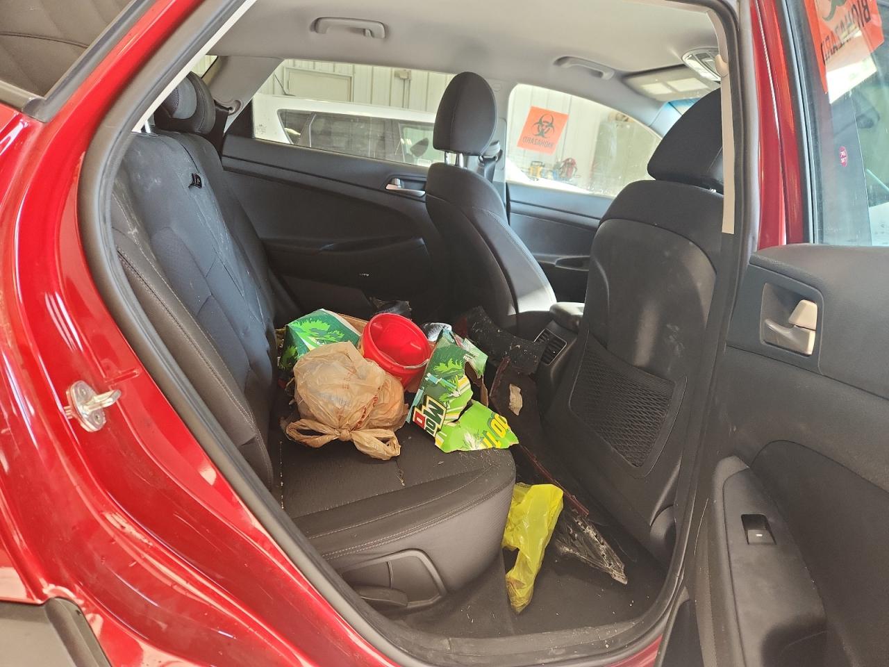 2021 Hyundai Tucson Limited VIN: KM8J3CAL8MU406804 Lot: 84237995