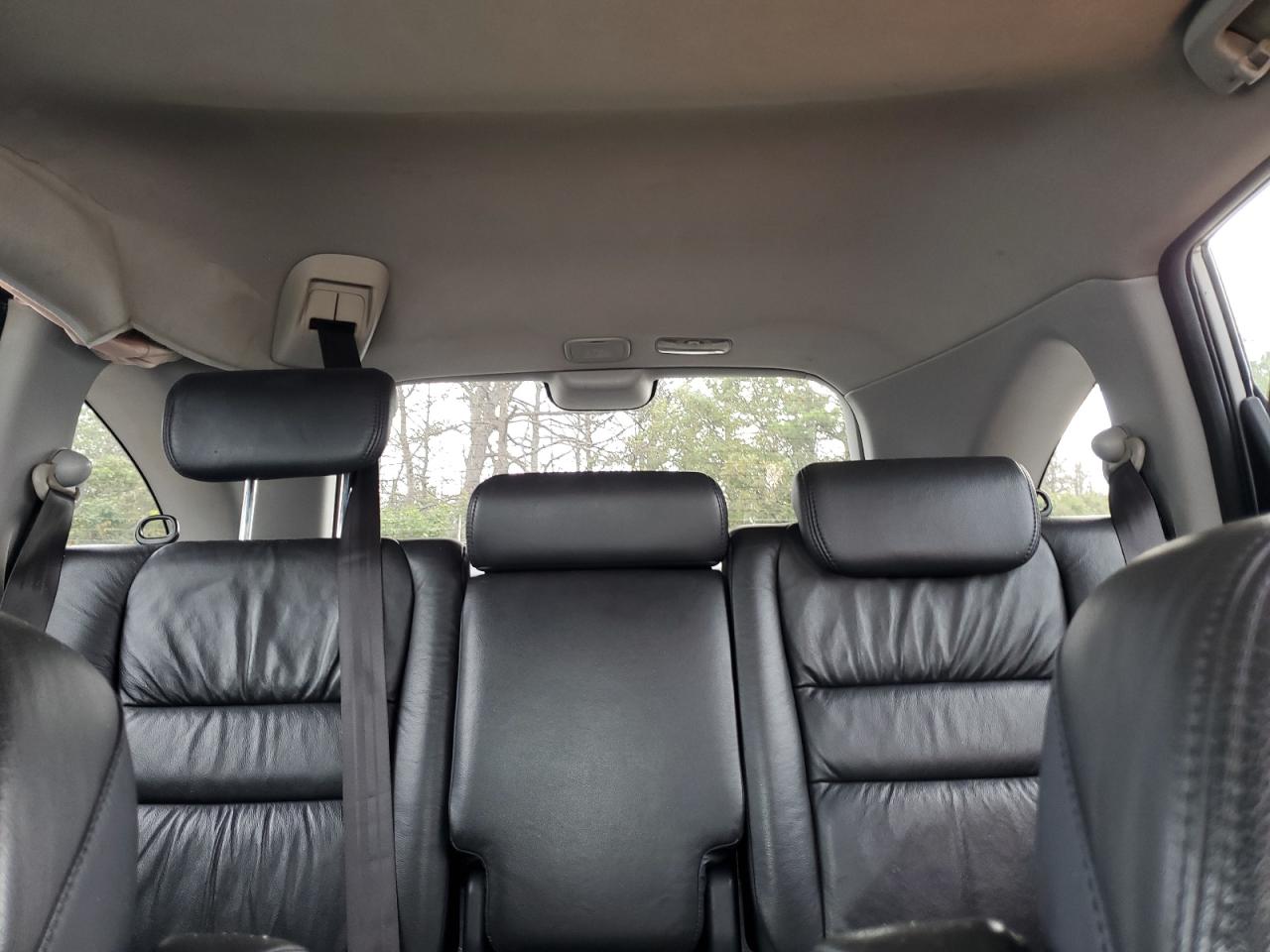 2009 Honda Cr-V Exl VIN: 5J6RE38789L032972 Lot: 81145845