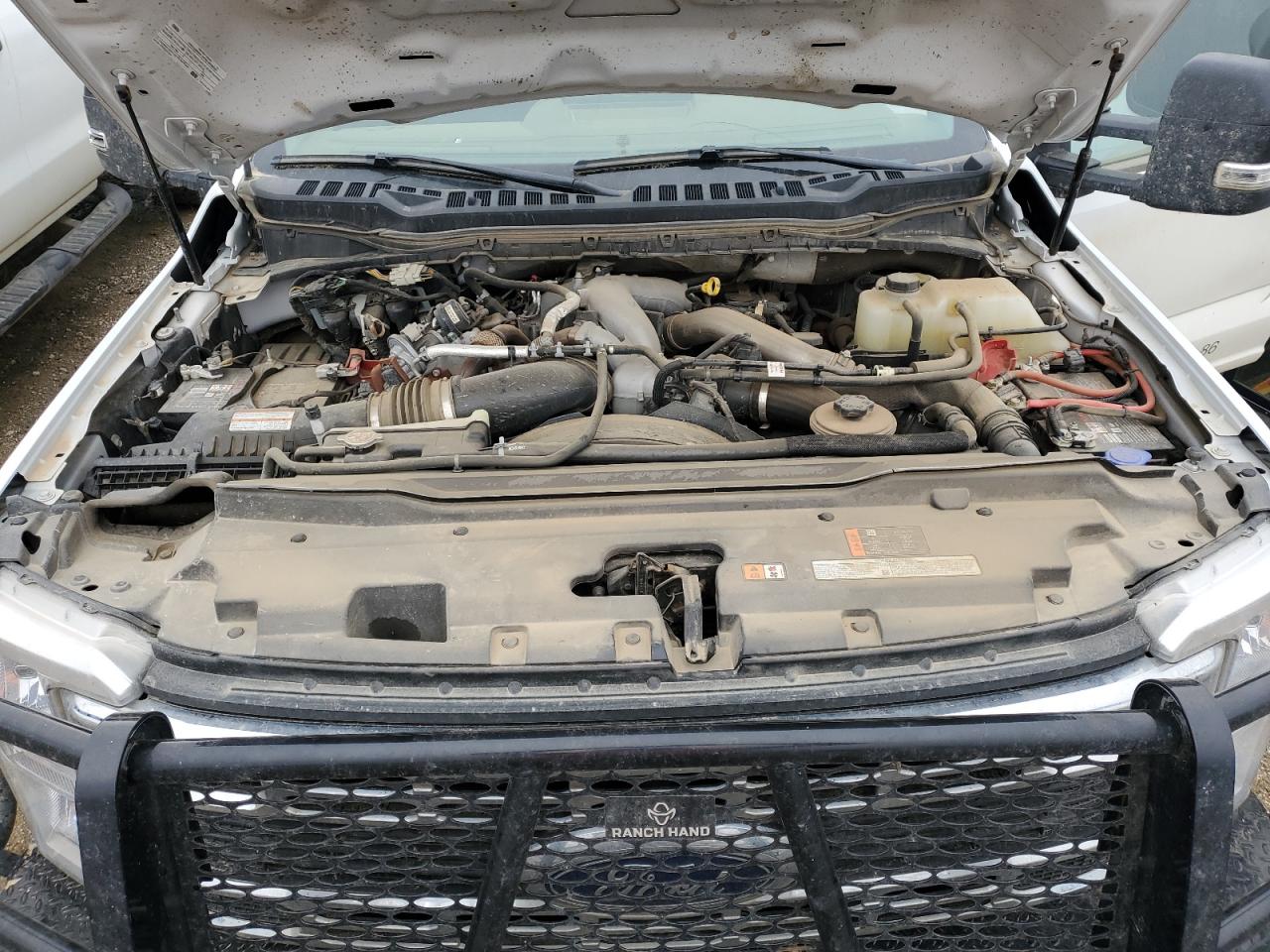 2024 Ford F550 Super Duty VIN: 1FD0X5HT7REE67225 Lot: 80576545