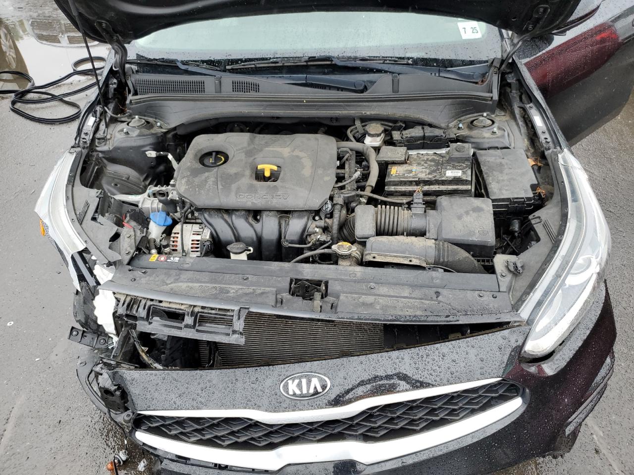 2020 Kia Forte Fe VIN: 3KPF24AD5LE226446 Lot: 81016745
