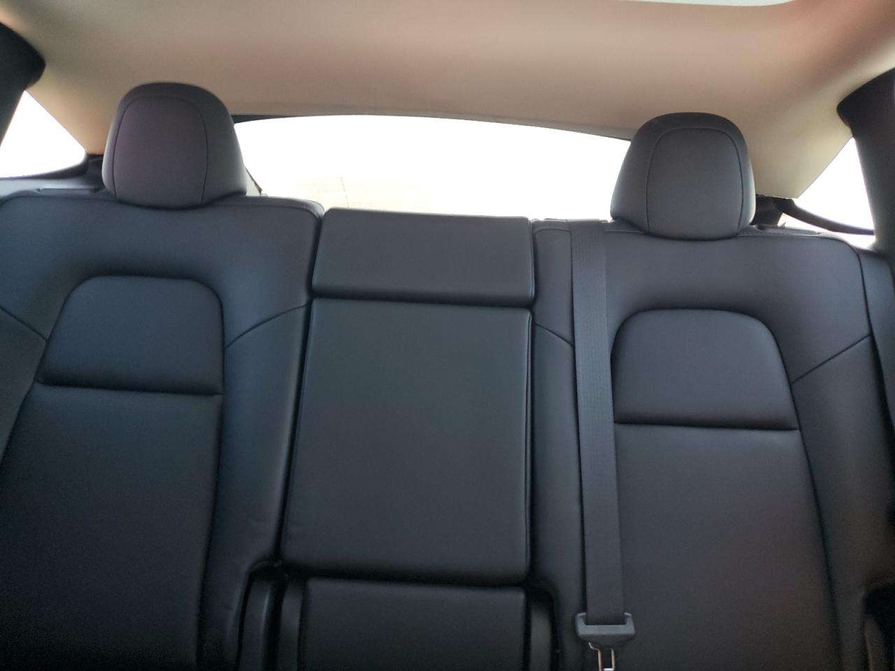 2024 Tesla Model Y VIN: 7SAYGDED1RF092643 Lot: 80813605