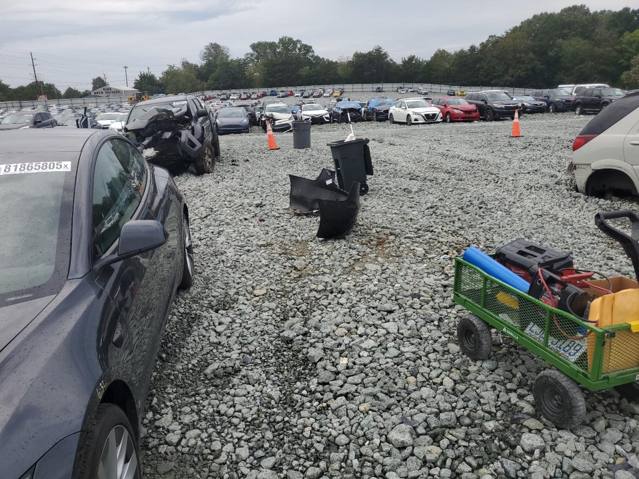 2024 Tesla Model 3 VIN: 5YJ3E1EA4RF769573 Lot: 81865805