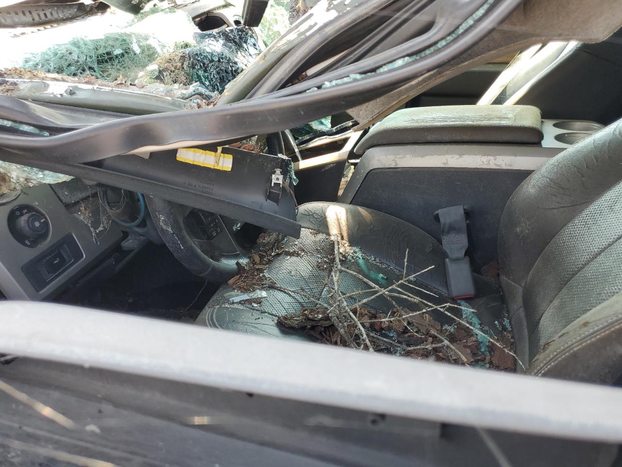 2011 Ford F150 Supercrew VIN: 1FTFW1EFXBFC17809 Lot: 67365975