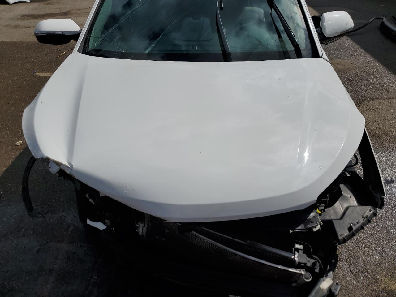 2019 Hyundai Santa Fe Xl Se VIN: KM8SN4HF9KU301187 Lot: 83983045