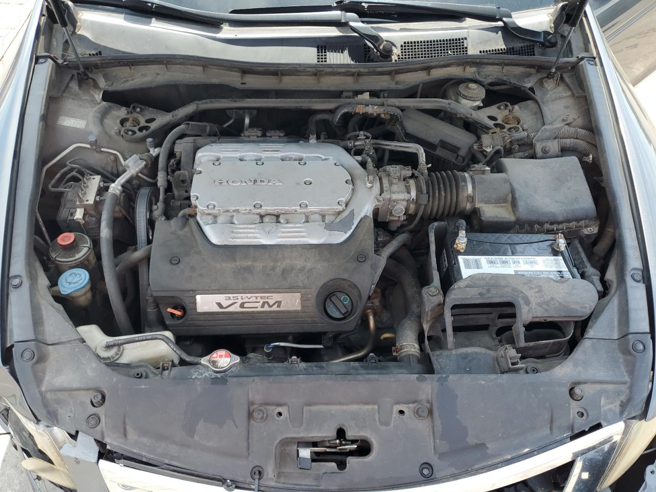 2010 Honda Accord Exl VIN: 1HGCP3F83AA030601 Lot: 80444475