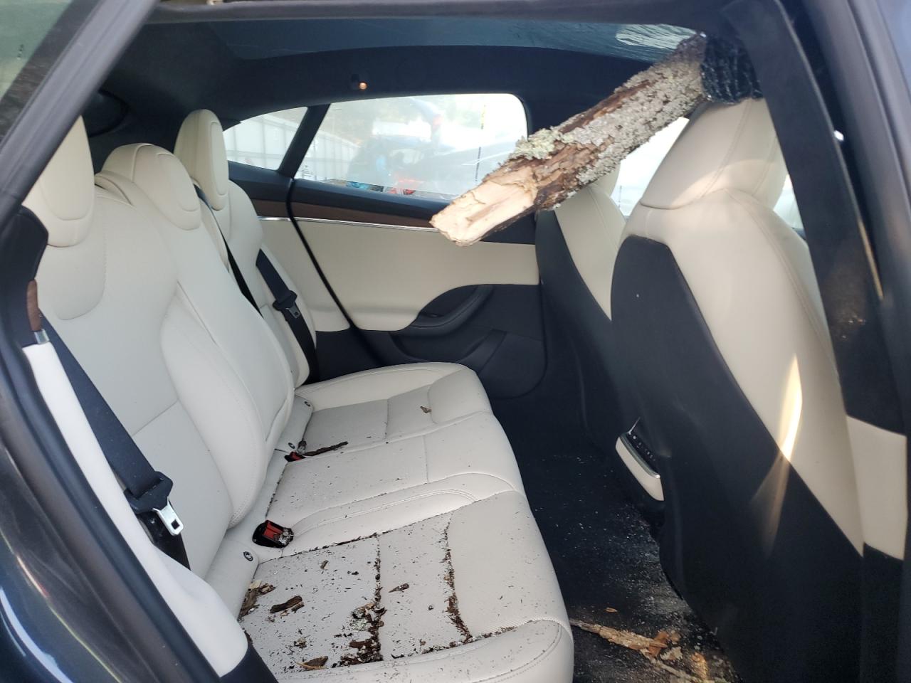 2024 Tesla Model S VIN: 5YJSA1E55RF538627 Lot: 80562345