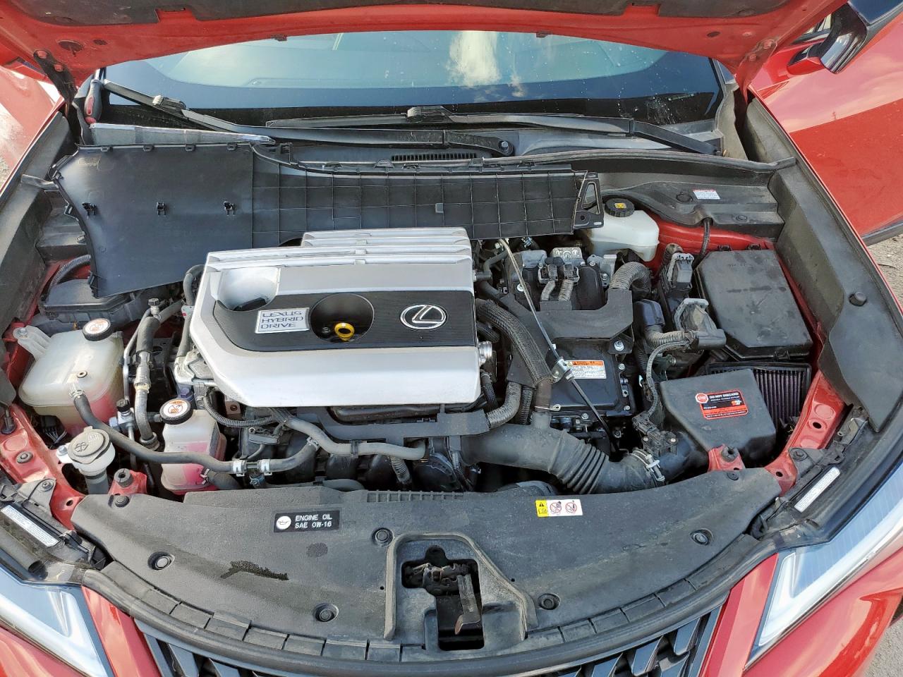 2019 Lexus Ux 250H VIN: JTHU9JBH6K2005595 Lot: 81508175