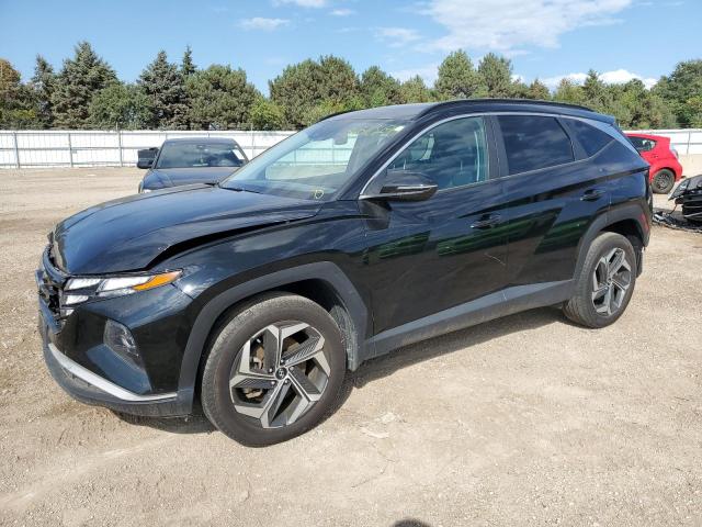 HYUNDAI TUCSON SEL 2023