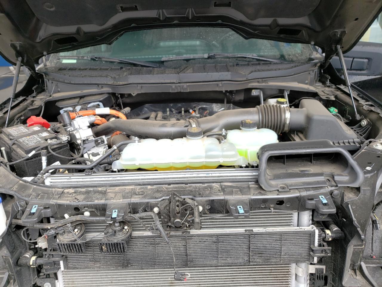 2025 Ford F150 Xlt VIN: 1FTFW3LDXSFA62319 Lot: 83873925