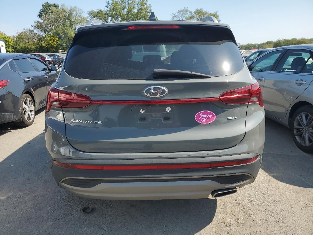 2023 Hyundai Santa Fe Sel VIN: 5NMS2DAJ7PH620145 Lot: 82072035