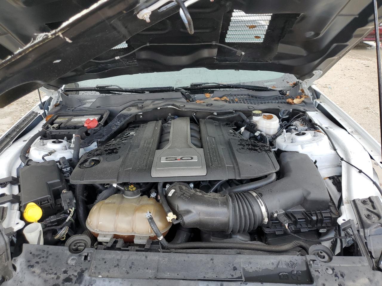 2019 Ford Mustang Gt VIN: 1FA6P8CF3K5130225 Lot: 69153985