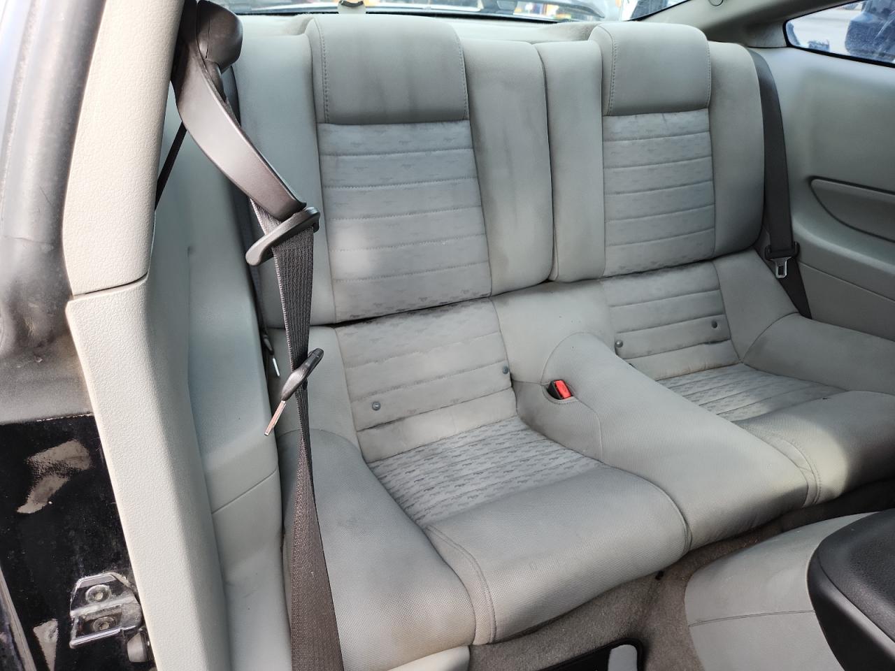 2009 Ford Mustang Gt VIN: 1ZVHT82H295134243 Lot: 81117775