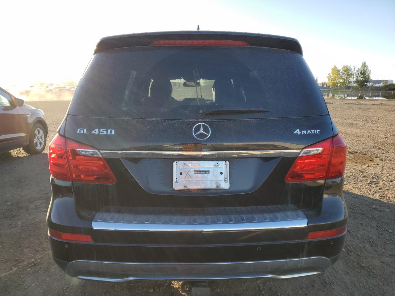 2013 Mercedes-Benz Gl 450 4Matic VIN: 4JGDF7CE7DA226256 Lot: 84455155