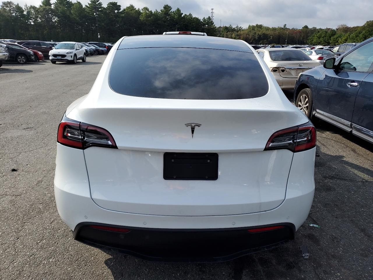2020 Tesla Model Y VIN: 5YJYGDEE0LF036979 Lot: 80788375