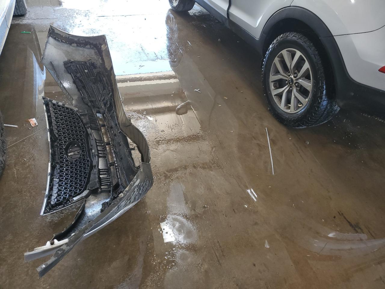 2014 Kia Sportage Lx VIN: KNDPBCAC9E7612604 Lot: 81128895