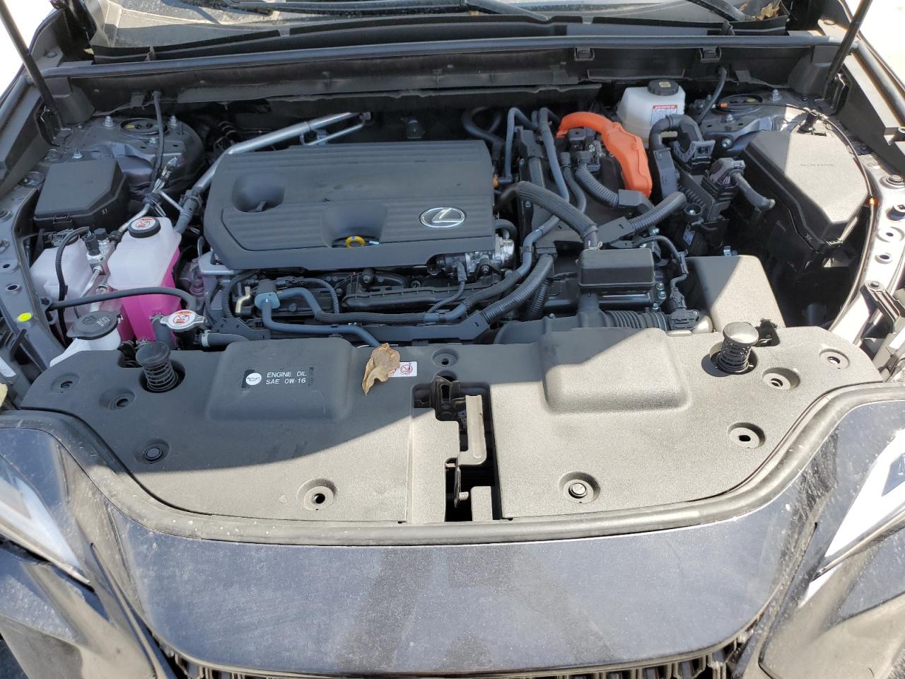 2025 Lexus Nx 350H Base VIN: JTJGKCEZ7S5036580 Lot: 66381045
