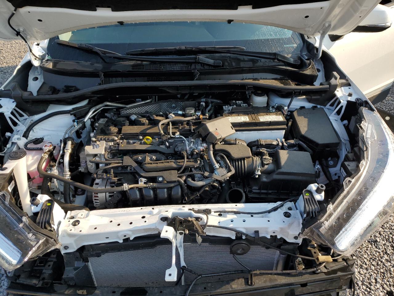 2024 Toyota Corolla Cross Xle VIN: 7MUDAAAG8RV096220 Lot: 80791185