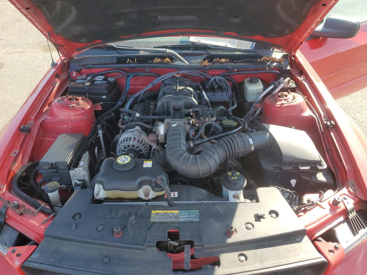 2008 Ford Mustang VIN: 1ZVHT80N585187915 Lot: 80142515