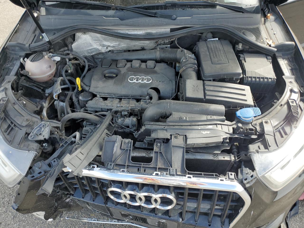 2015 Audi Q3 Premium Plus VIN: WA1EFCFS6FR003532 Lot: 80753975