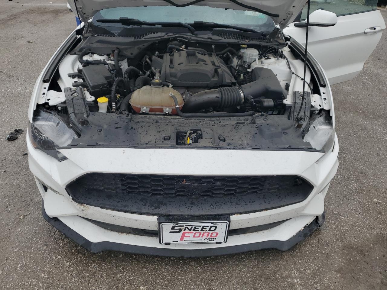 2019 Ford Mustang VIN: 1FA6P8THXK5143331 Lot: 81428935