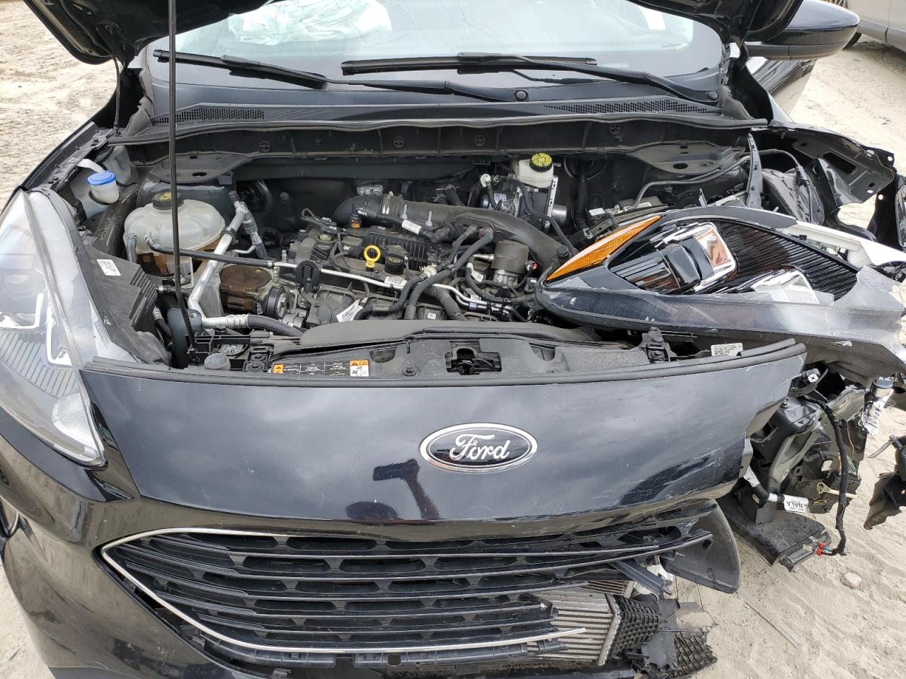 2022 Ford Escape Sel VIN: 1FMCU9H99NUA44082 Lot: 81390505