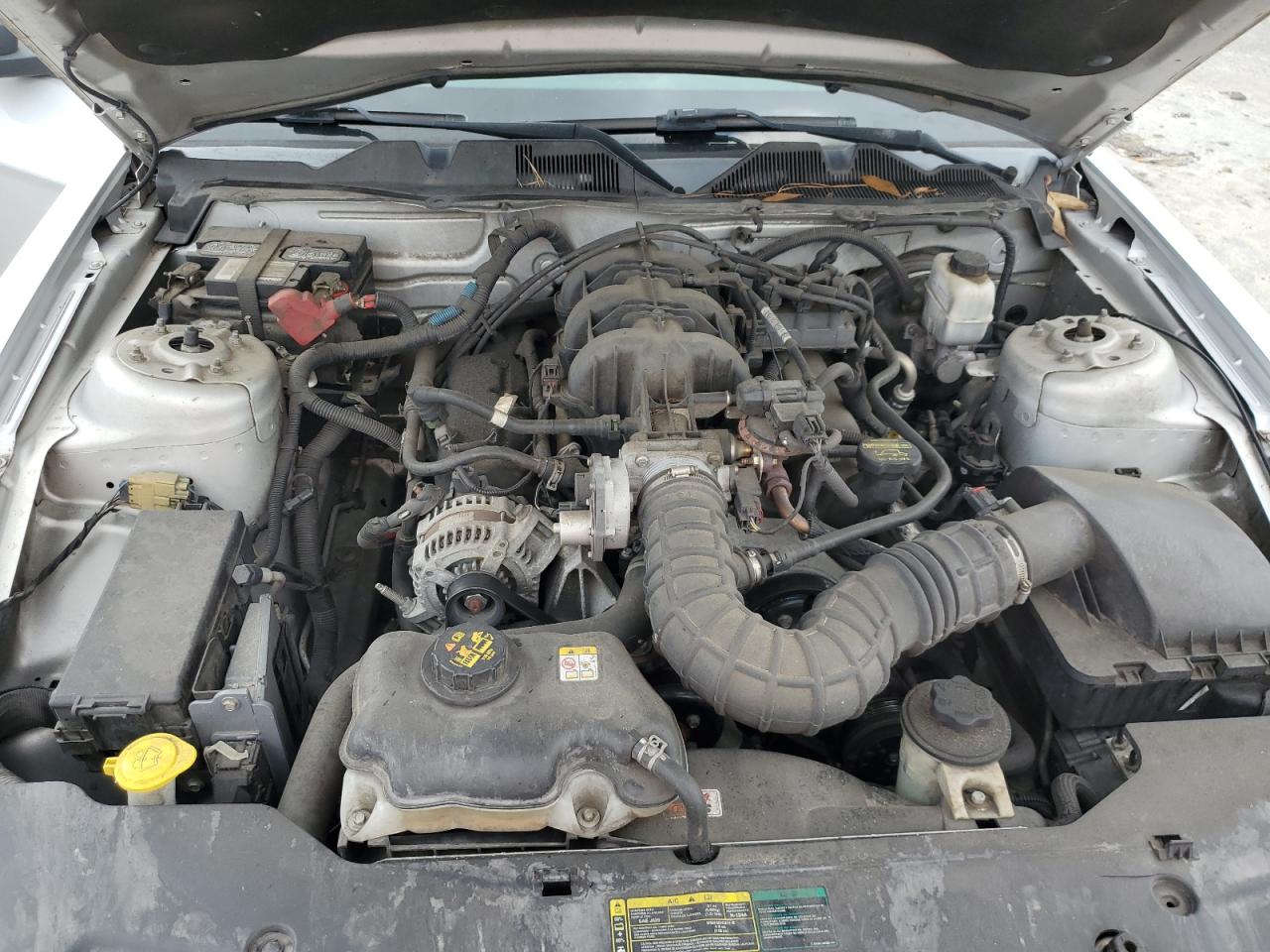 2010 Ford Mustang VIN: 1ZVBP8EN7A5177976 Lot: 72088535