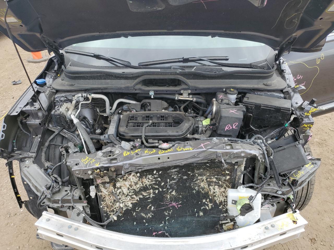 2025 Honda Pilot Exl VIN: 5FNYG1H42SB013073 Lot: 81678845