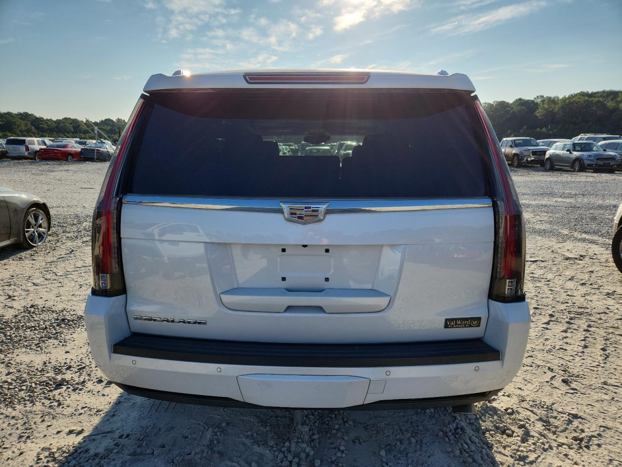 2016 Cadillac Escalade Luxury VIN: 1GYS3BKJ1GR207031 Lot: 80150655