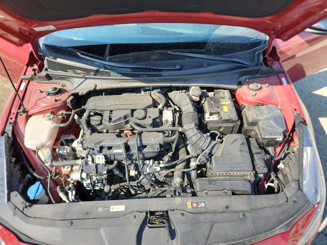 2023 Hyundai Elantra N Line VIN: KMHLR4AF6PU609878 Lot: 81496485