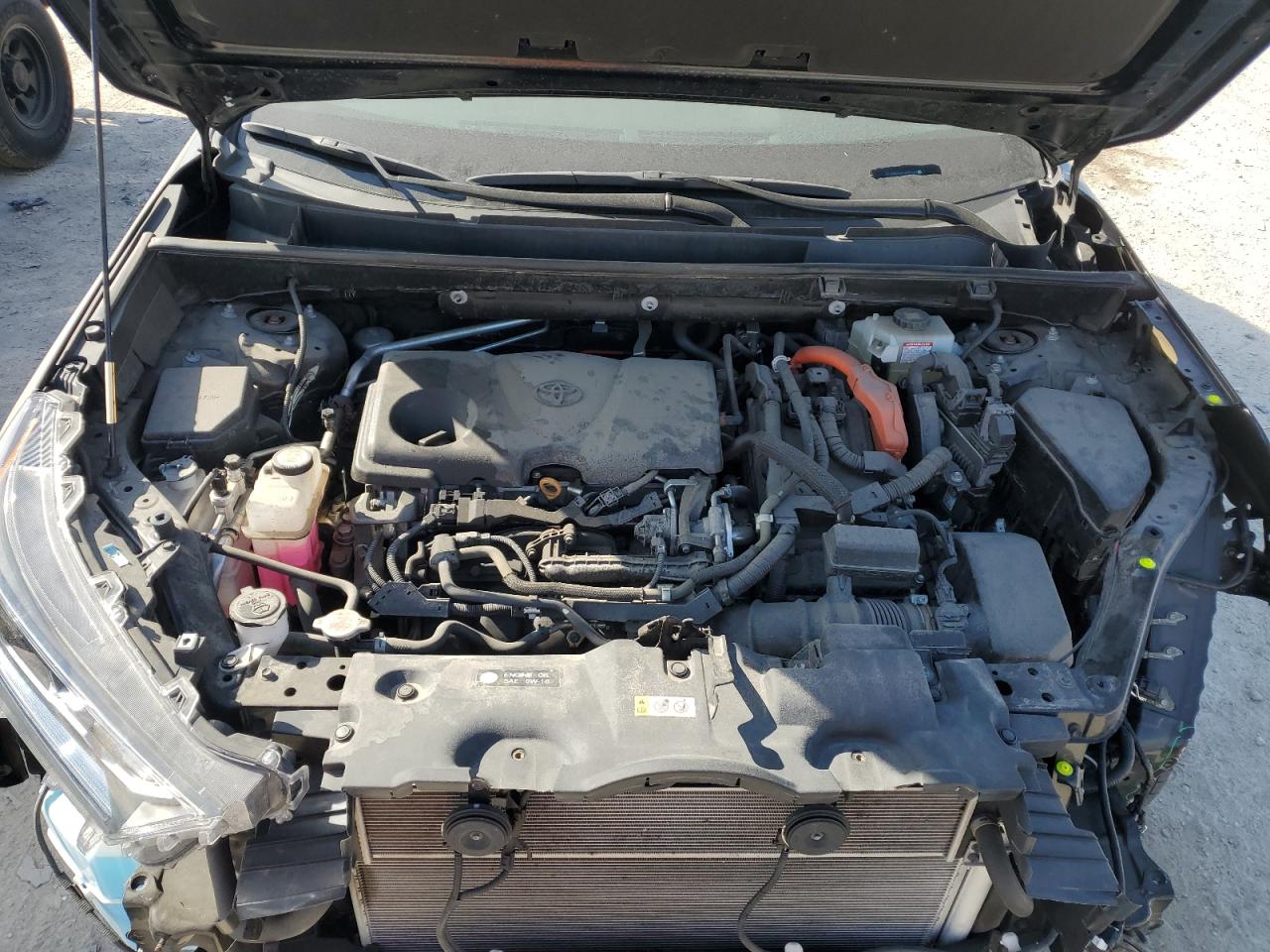 2020 Toyota Rav4 Xle VIN: 2T3RWRFV4LW065205 Lot: 72082685